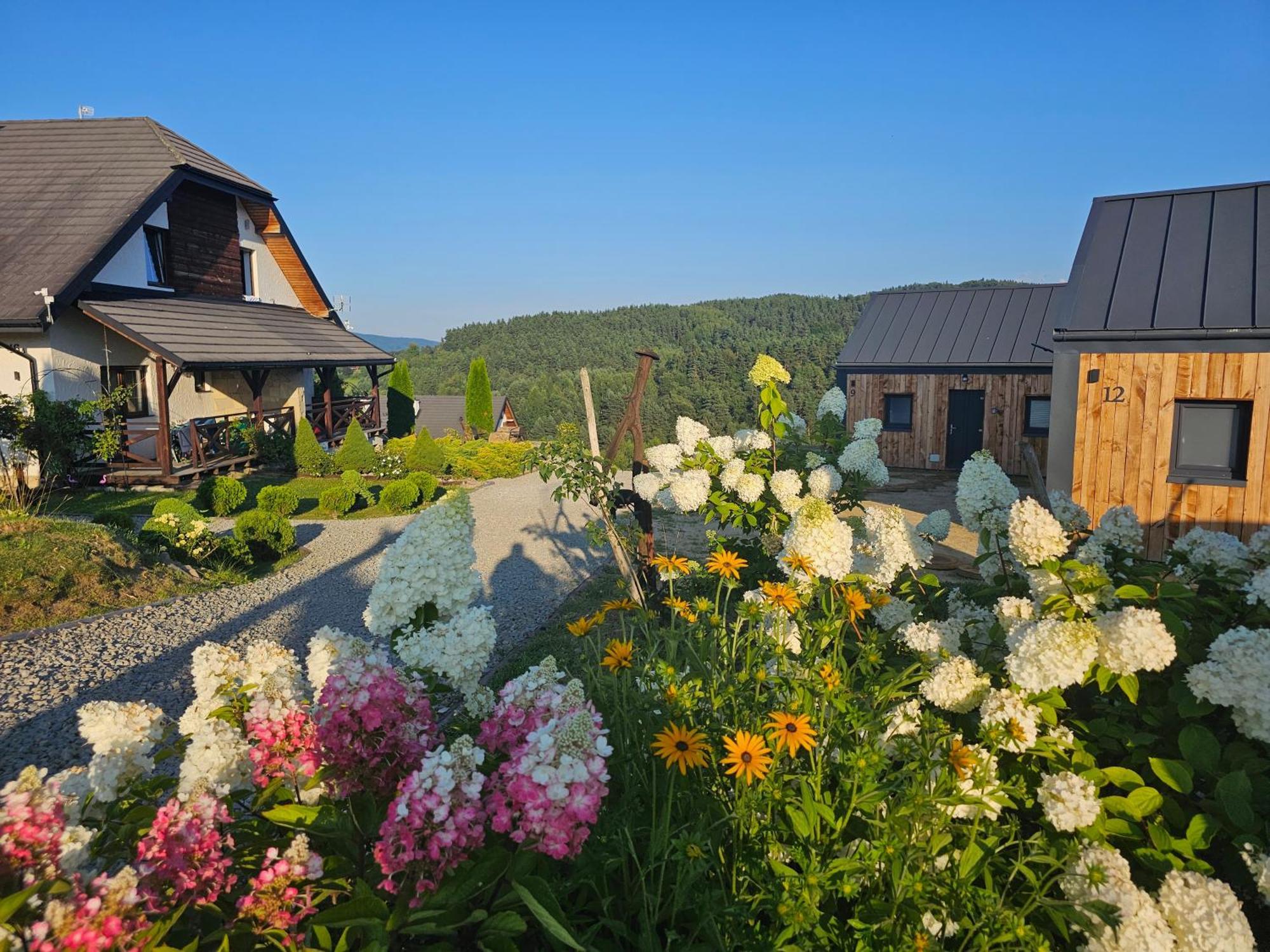 Polańczyk Chata W Bieszczadzie Apartamenty I Domki Z Sauna Bieszczady מראה חיצוני תמונה