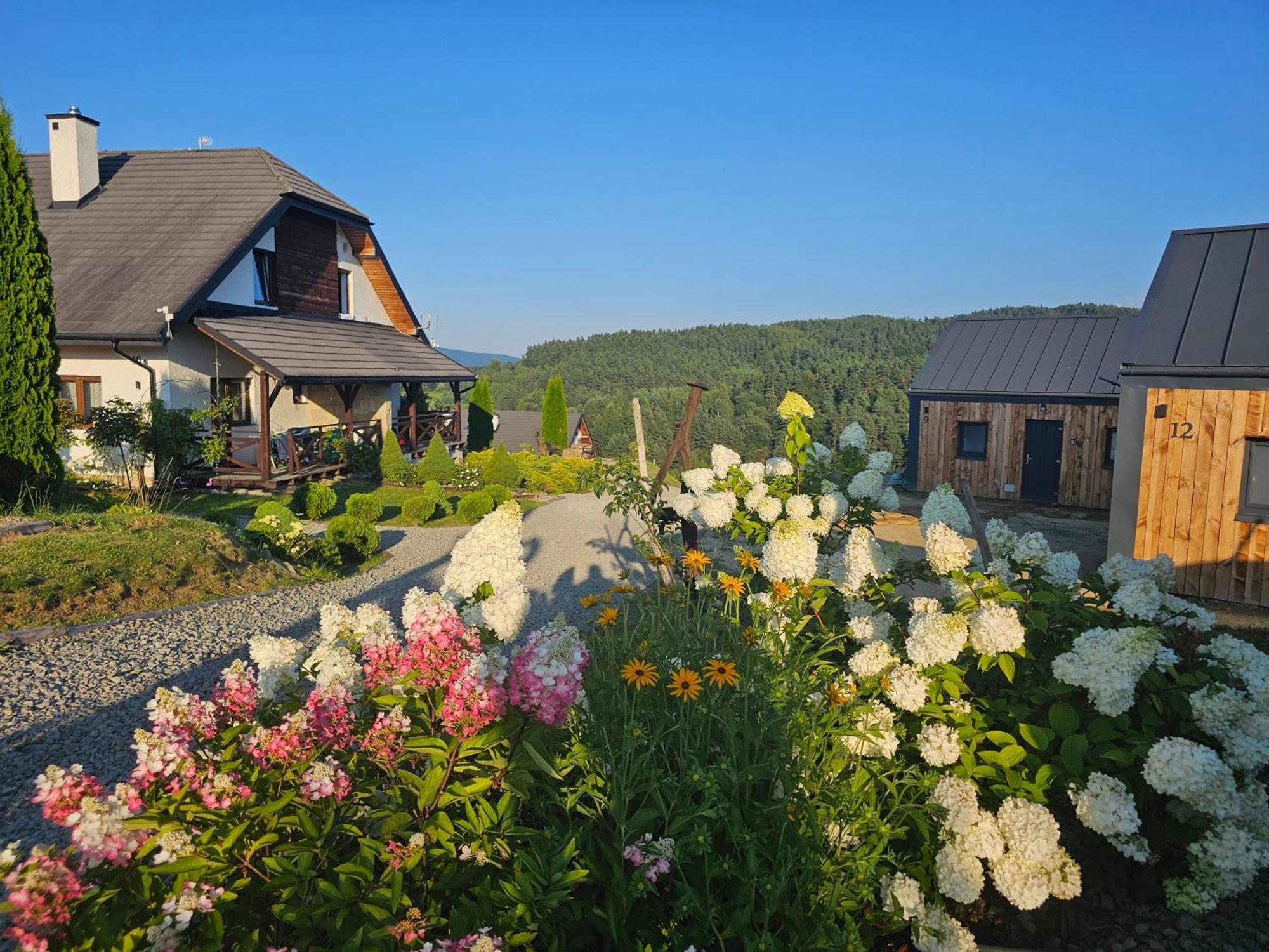 Polańczyk Chata W Bieszczadzie Apartamenty I Domki Z Sauna Bieszczady מראה חיצוני תמונה